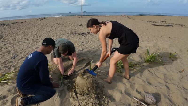 Sukamade Observation Turtle Tour - What To Expect and Practical Details