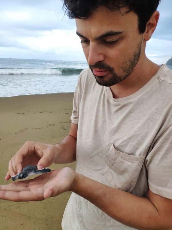 Sukamade Turtle Beach Adventure  Into East Java - Final Thoughts: Is This Tour for You?