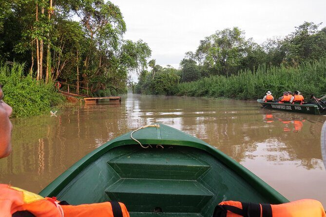 Sukau Rainforest Wildlife and Dawn Cruises Tour in Sandakan - Key Points