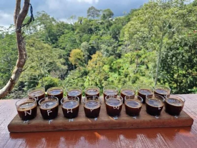 Sukawana Sunrise with Floating Temple & Kintamani Cafe Tour - Who This Tour Suits Best