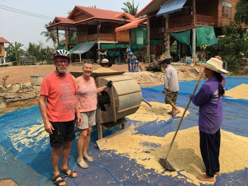 Sukhothai: Half-Day Countryside Bike Tour - Transportation & Equipment