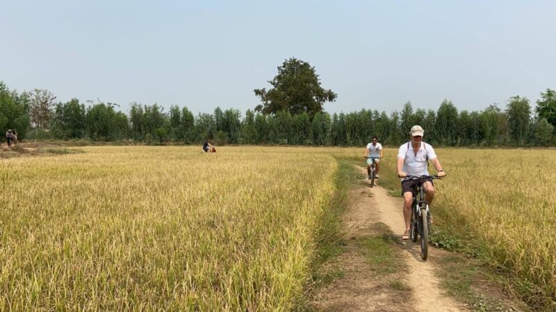 Sukhothai: Half-Day Countryside Bike Tour - The Guide & Local Knowledge