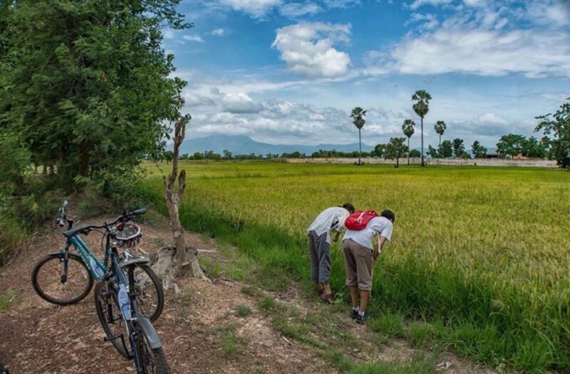 Sukhothai: Half-Day Countryside Bike Tour - Final Thoughts
