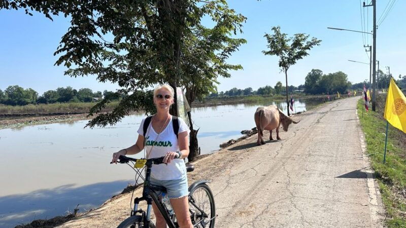 sukhothai-half-day-countryside-bike-tour