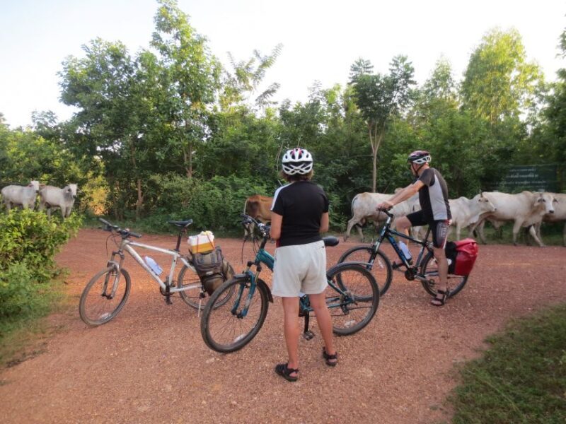 Sukhothai: Historical Park & Countryside Cycling Tour - Introduction: Why We Want to Try This Tour