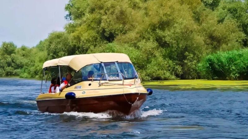 Sulina: Danube Delta Boat Tour with Wildlife Spotting - Exploring the Danube Delta: What to Expect