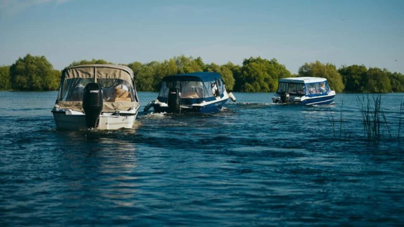 Sulina: Danube Delta Boat Tour with Wildlife Spotting - The Benefits and Who Will Love It