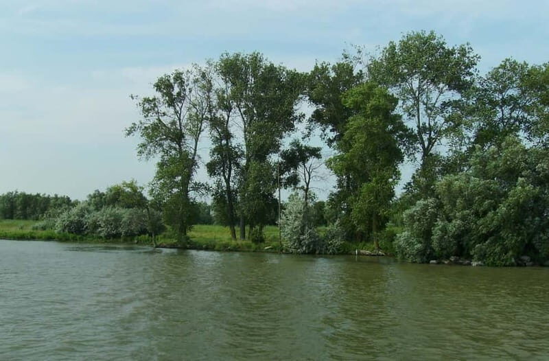 Sulina: Letea Forest Day Trip - Key Points