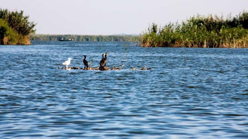 Sulina: Mila 23 Village Boat Trip in the Danube Delta - A Scenic Journey into Romania’s Natural Jewel