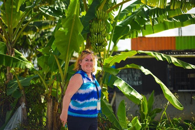 sulphur-springs-mudbath-botanical-gardens-tour-all-inclusive