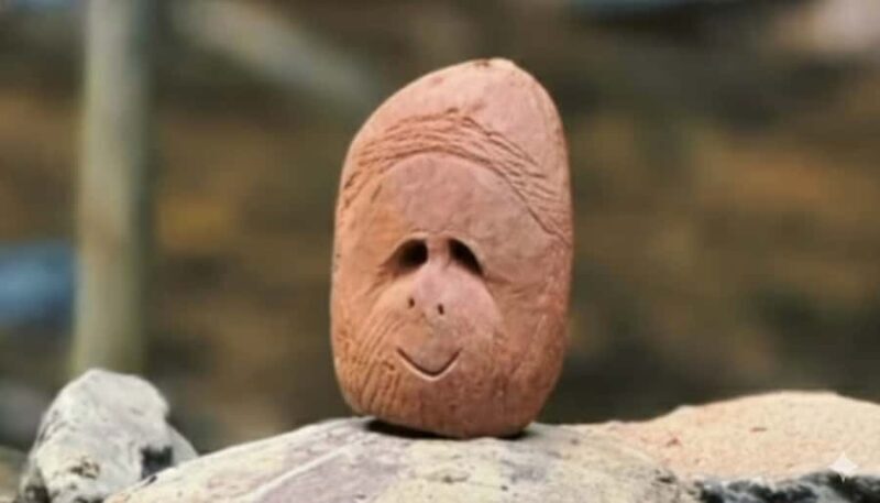 Sumatra : 2-Day Orangutan Trekking and River Tubing Tour - The Sum Up