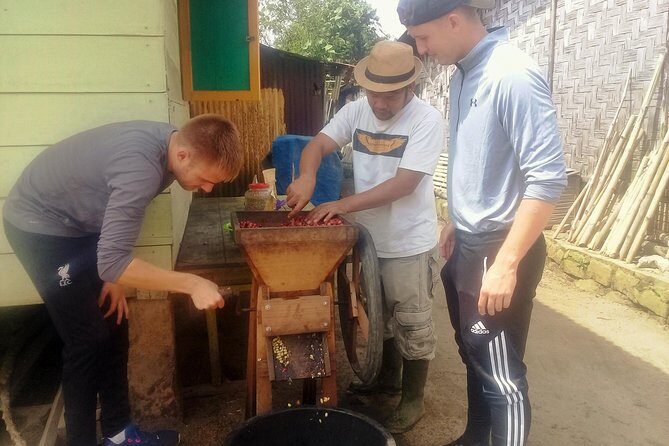 Sumatra Coffee Tour - A Detailed Look at the Sumatra Coffee Tour