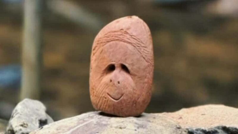 Sumatra Stone Stories : 2 Days Ethical Orangutan Trekking - Exploring the Itinerary in Detail