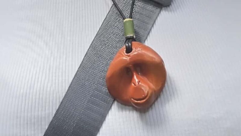 Sumatra Stone Stories : 2 Days Ethical Orangutan Trekking - Final Thoughts: Who Will Love This Tour?