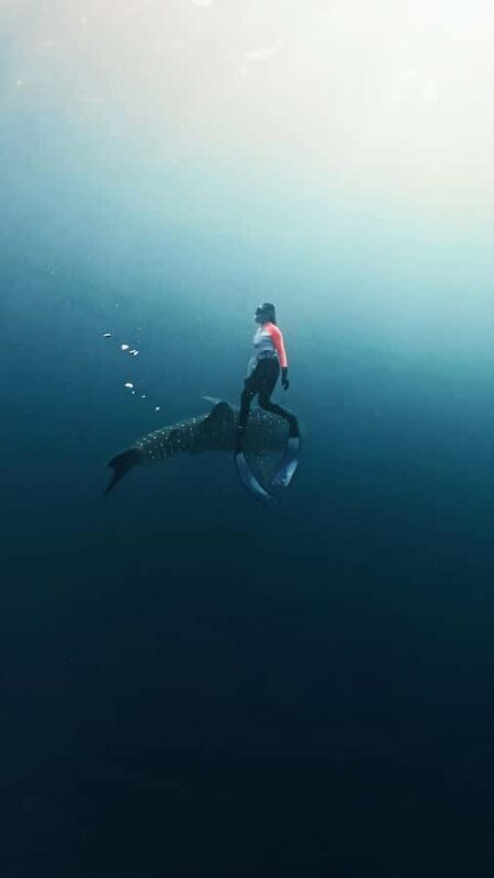 Sumbawa Package: Explore with Private or Shared Group - The Experience Breakdown