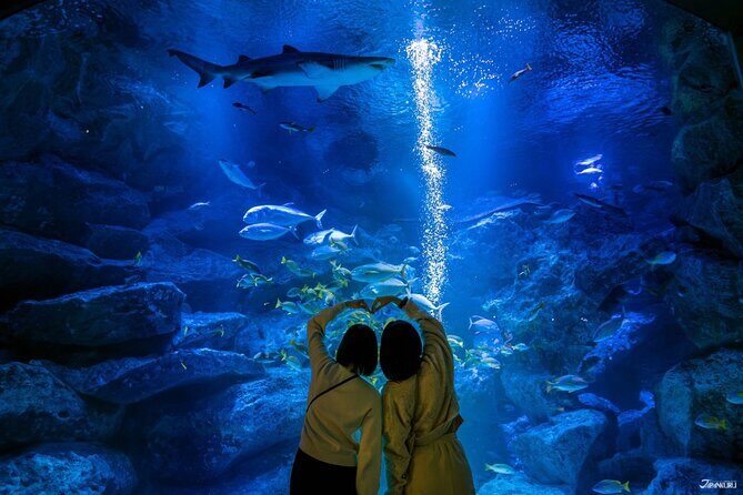 Sumida Aquarium Ticket Tokyo - An In-Depth Look at the Sumida Aquarium Experience