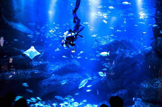 Sumida Aquarium Ticket Tokyo - In The Sum Up