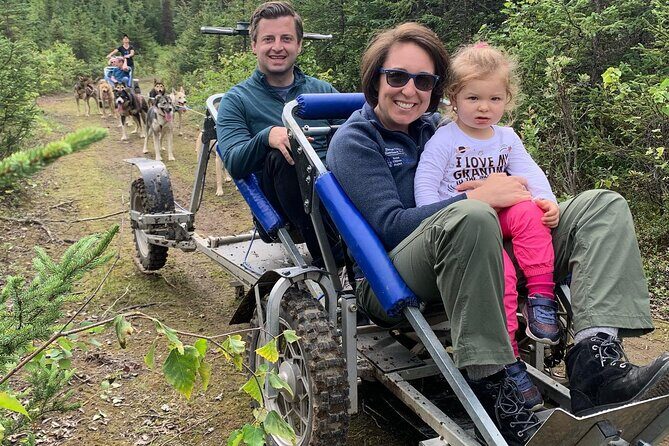 Summer Dog Sledding Adventure in Willow, Alaska - Key Points  