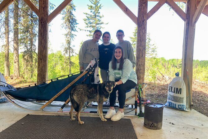 Summer Dog Sledding Adventure in Willow, Alaska - Meeting Points and Practical Details