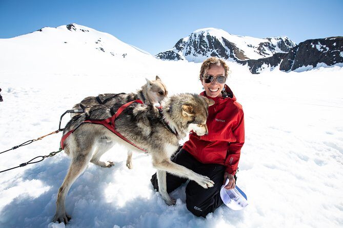 Summer Glacier Dogsledding Tour from Girdwood - Practical Considerations