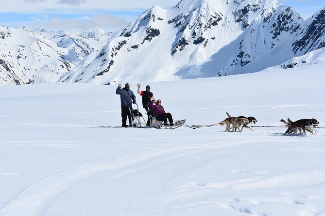 Summer Glacier Dogsledding Tour from Girdwood - Who Will Love This Tour?