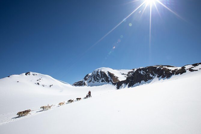 Summer Glacier Dogsledding Tour from Girdwood - FAQs