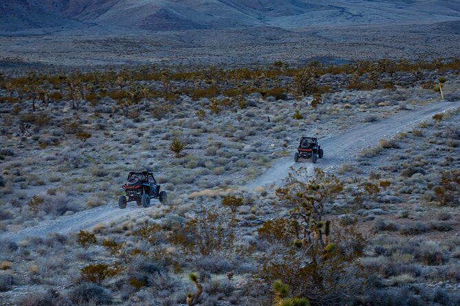 summer-mojave-desert-twilight-rzr-quest-in-las-vegas