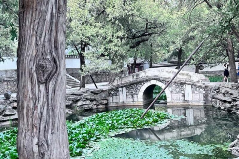 Summer Palace Small Group Tour with Expert Guide - Final Thoughts