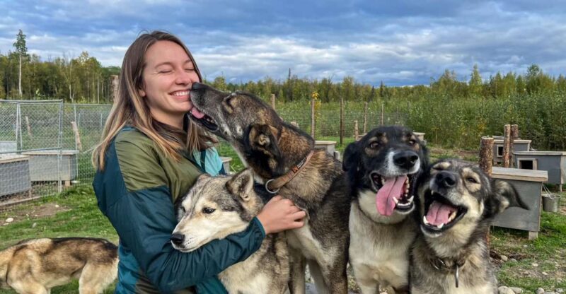 Summer Sled Dog Kennel Tour - Meeting Point and Logistics