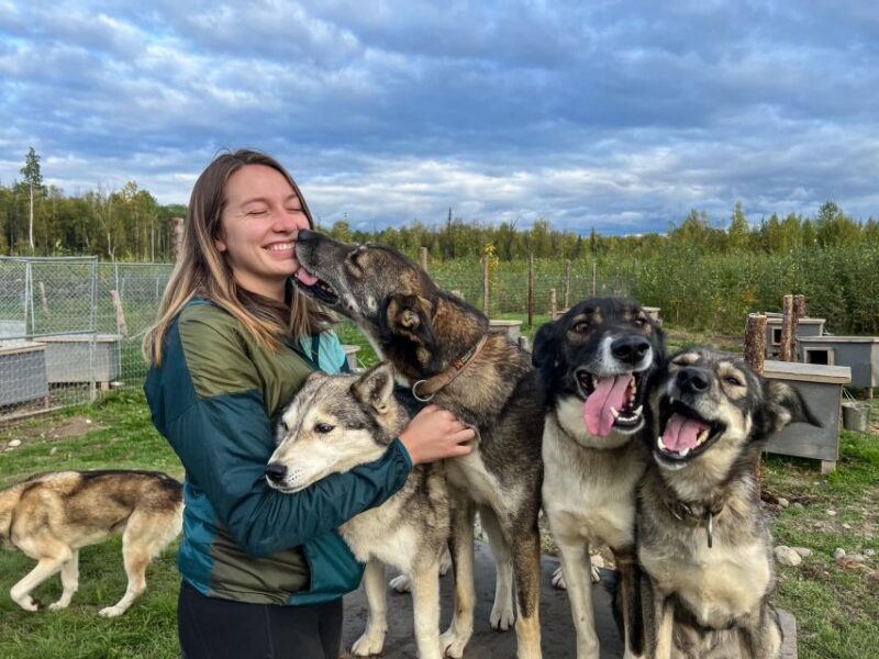 Summer Sled Dog Kennel Tour - Playtime and Interaction