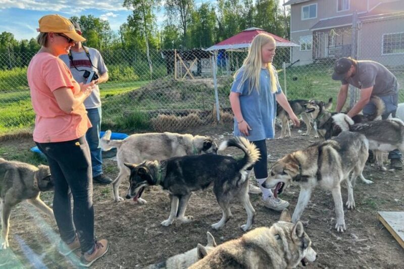Summer Sled Dog Kennel Tour - Why This Tour Is Unique