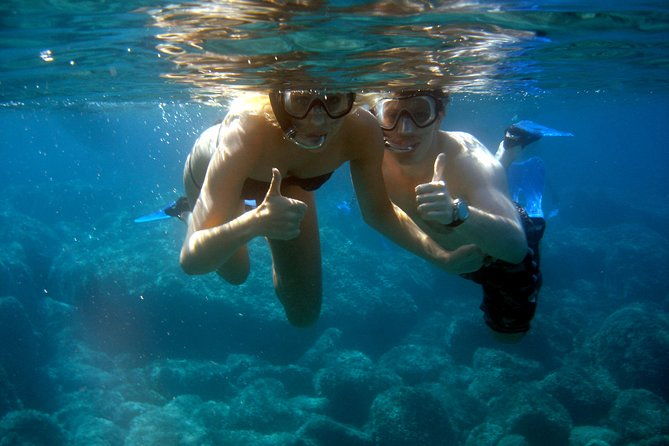 summer-tour-dolphin-watching-and-guided-snorkeling
