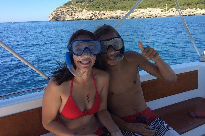summer-tour-dolphin-watching-and-guided-snorkeling