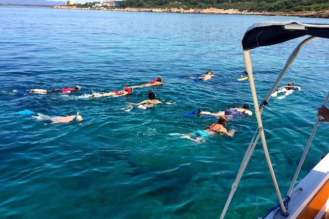 summer-tour-dolphin-watching-and-guided-snorkeling