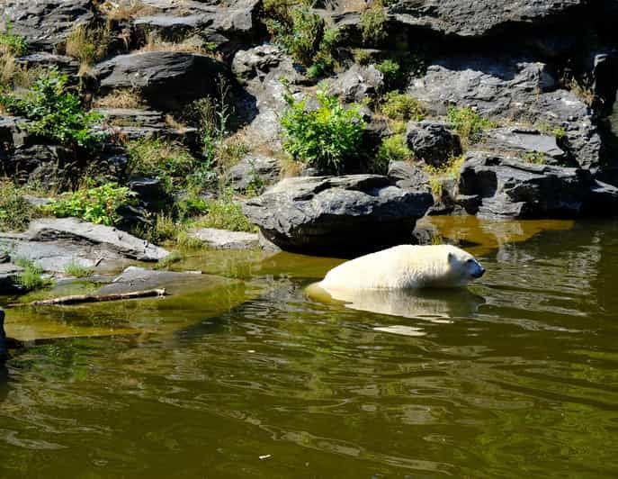 summer-tour-from-rovaniemi-korouoma-waterfall-and-ranua-zoo