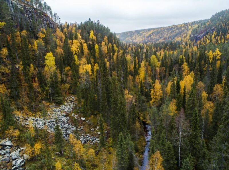 summer-tour-from-rovaniemi-korouoma-waterfall-and-ranua-zoo