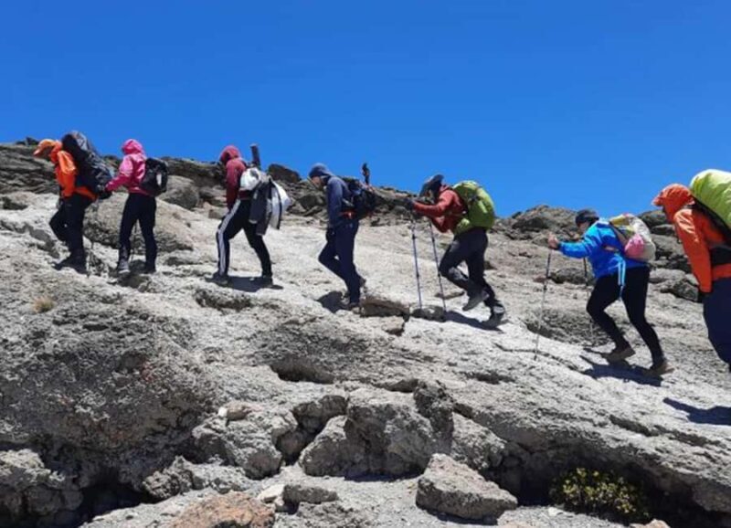 Summit Adventure: Mount Kilimanjaro Daytrip - An In-Depth Look at the Kilimanjaro Daytrip