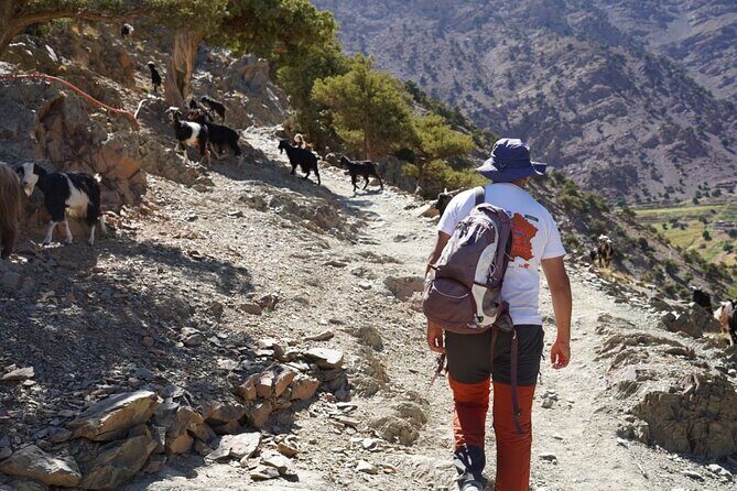 Summiting and Hiking the Atlas Mountains Day Trek from Marrakech - Who Should Consider This Tour?