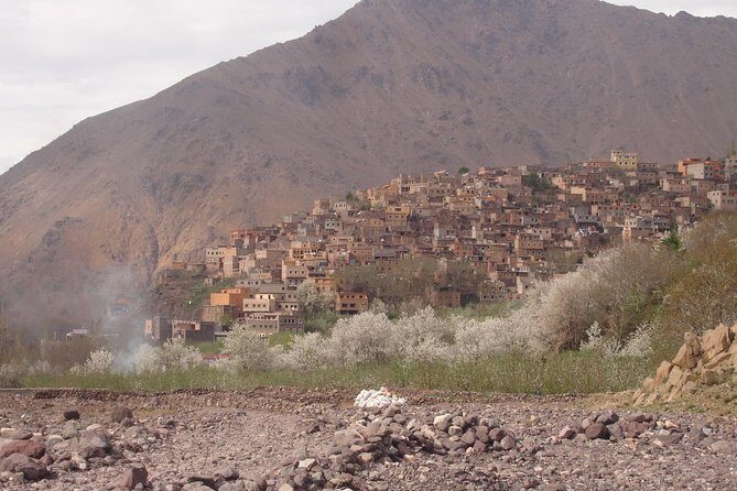 Summiting The Atlas Mountains Day Hike & Trek From Marrakech - Overview and What to Expect