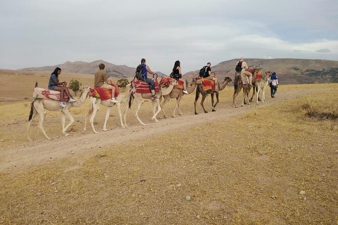 Summiting The Atlas Mountains Day Hike & Trek From Marrakech - Practical Details and Tips