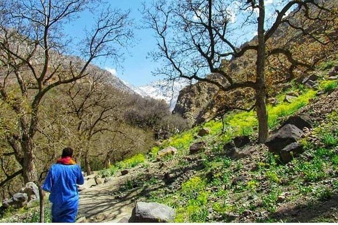 Summiting The Atlas Mountains, Day Hike & Trek From Marrakech - The Experience: What Travelers Say