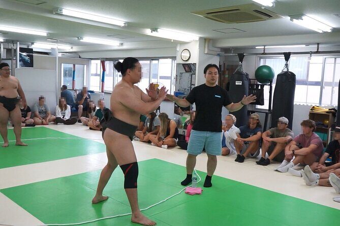 Sumo Experience in Tokyo Shinjuku Netflix Sanctuary For Group - Who Would Love This Experience?