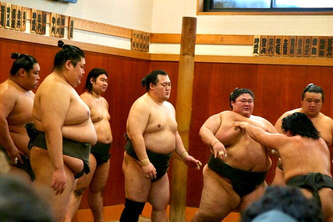 sumo-morning-practice-japanese-brunch-experience