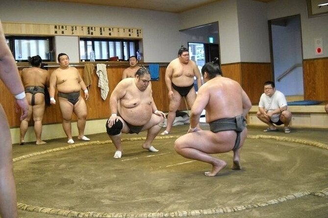 sumo-morning-practice-tour-in-tokyo-sumida-city