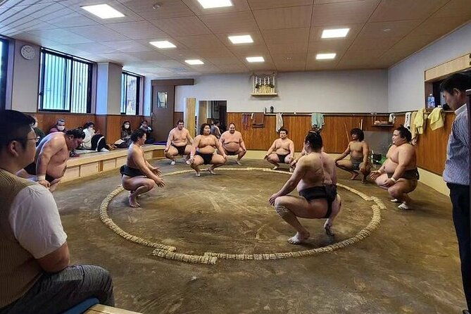 sumo-morning-practice-tour-in-tokyo-sumida-city