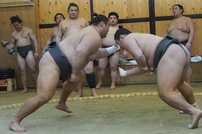 sumo-morning-training-watch-in-osaka