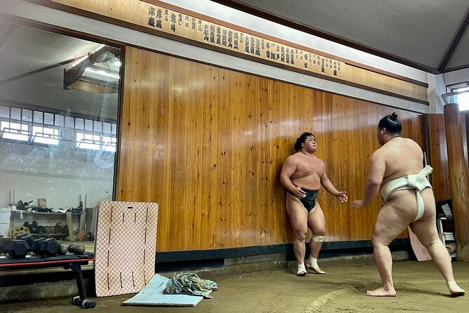 sumo-practice-viewing-guided-tour-and-photo-with-sumo-wrestlers