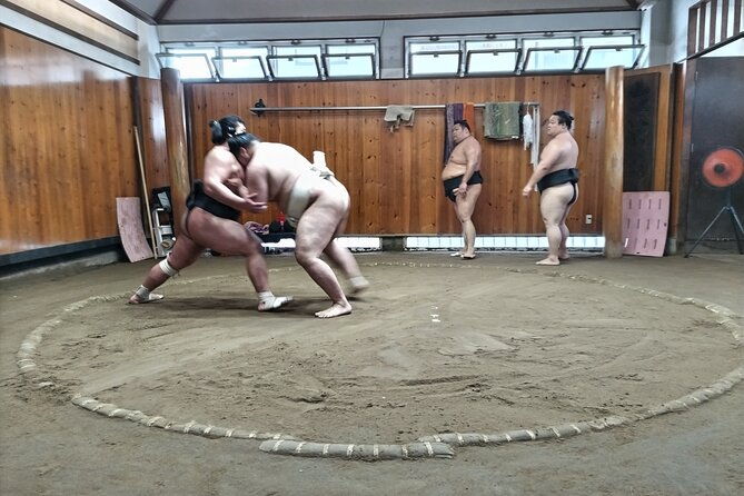sumo-practice-viewing-guided-tour-and-photo-with-sumo-wrestlers