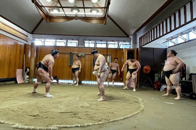 sumo-practice-viewing-guided-tour-and-photo-with-sumo-wrestlers
