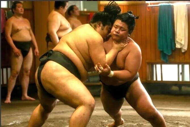 Sumo Practice Watch with a Specialist Reporter - Experience Breakdown: A Step-by-Step Look